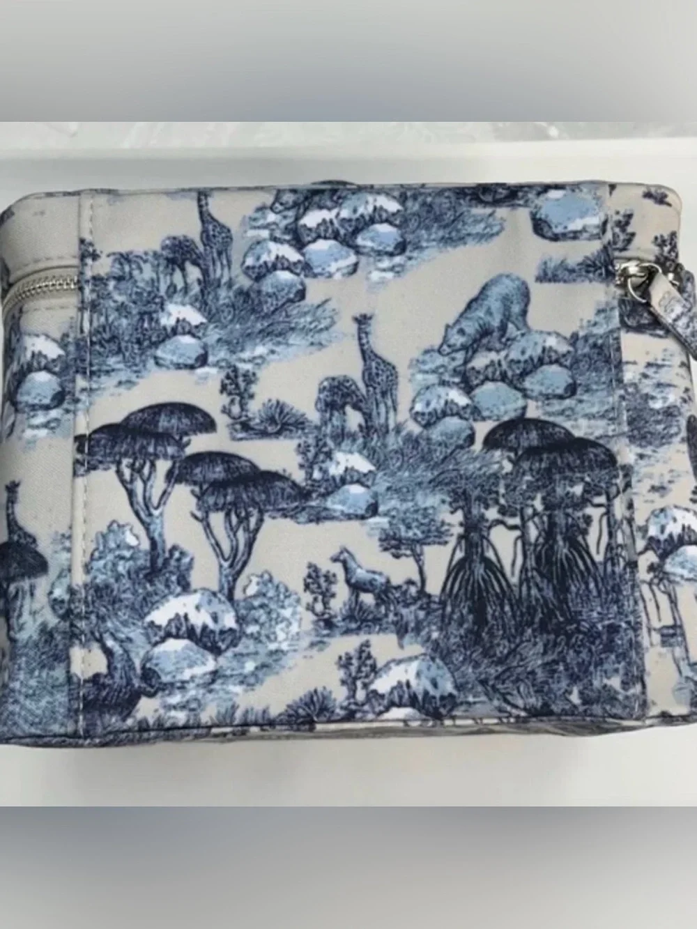 Auth Dior around the world print  Travel Case Vanity & lipstick case $$$$
